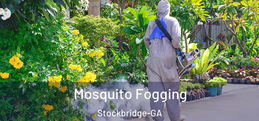 Mosquito Fogging Stockbridge-GA
