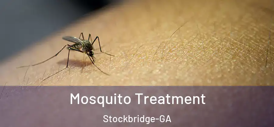 Mosquito Treatment Stockbridge-GA