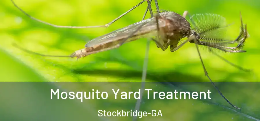 Mosquito Yard Treatment Stockbridge-GA