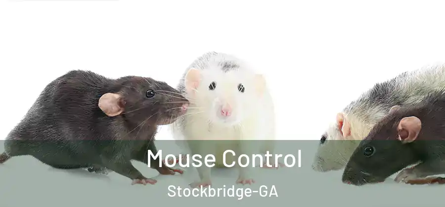 Mouse Control Stockbridge-GA