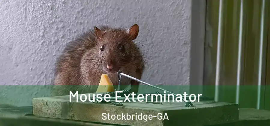  Mouse Exterminator Stockbridge-GA