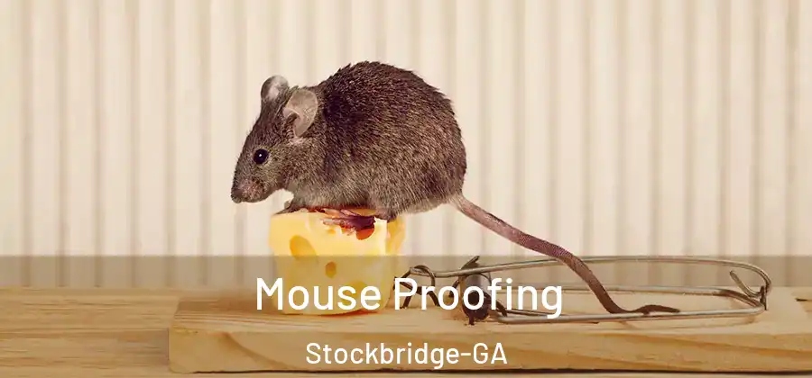 Mouse Proofing Stockbridge-GA