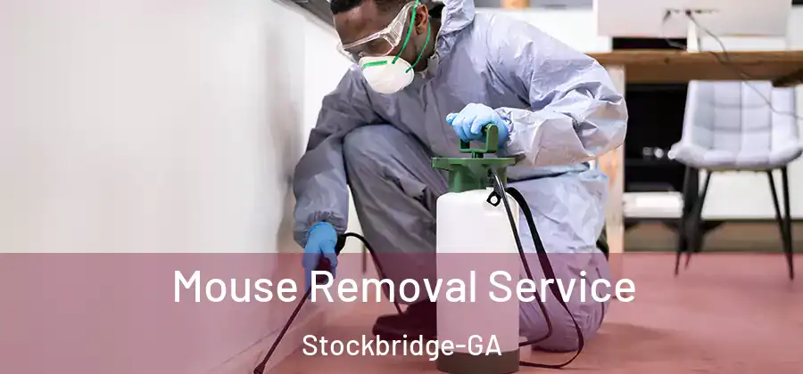 Mouse Removal Service Stockbridge-GA