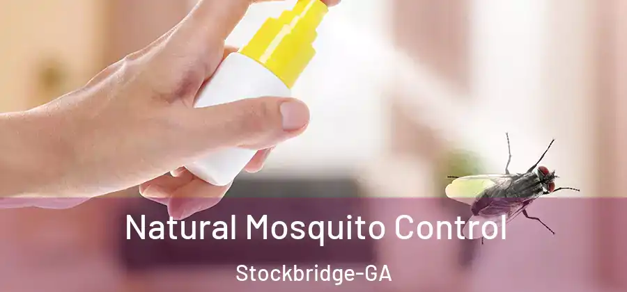  Natural Mosquito Control Stockbridge-GA