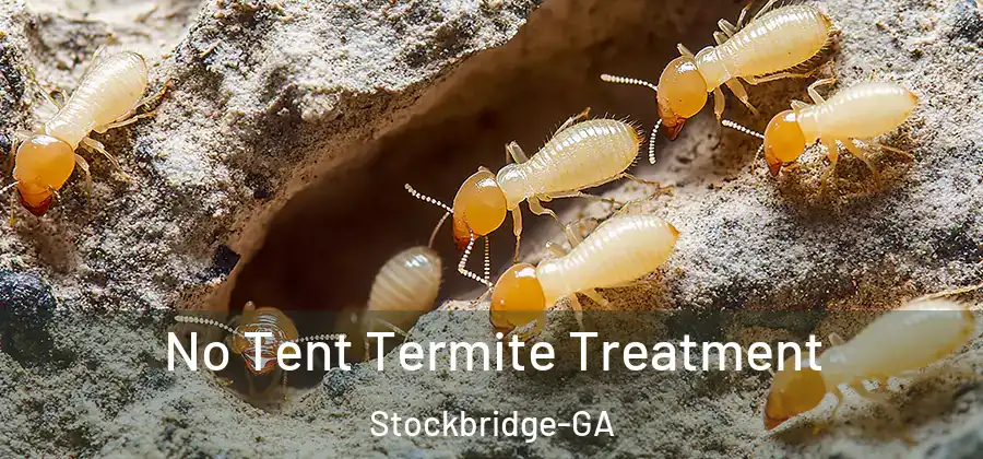  No Tent Termite Treatment Stockbridge-GA