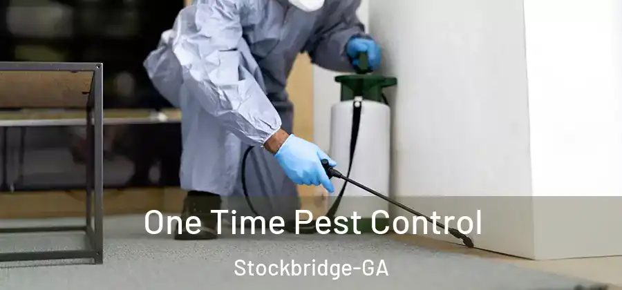 One Time Pest Control Stockbridge-GA