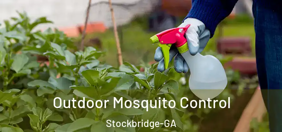Outdoor Mosquito Control Stockbridge-GA