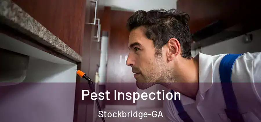Pest Inspection Stockbridge-GA