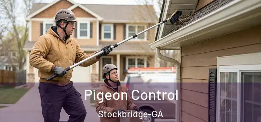 Pigeon Control Stockbridge-GA