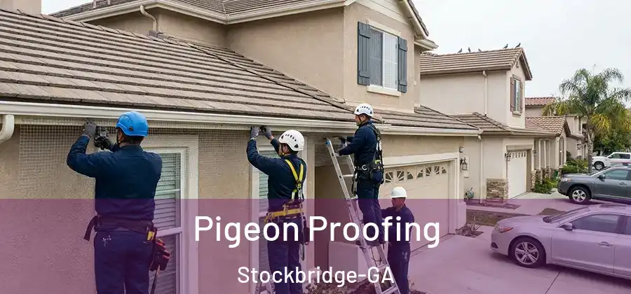 Pigeon Proofing Stockbridge-GA