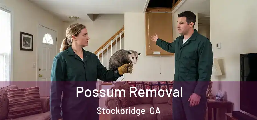 Possum Removal Stockbridge-GA