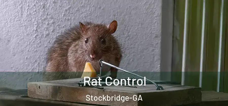 Rat Control Stockbridge-GA