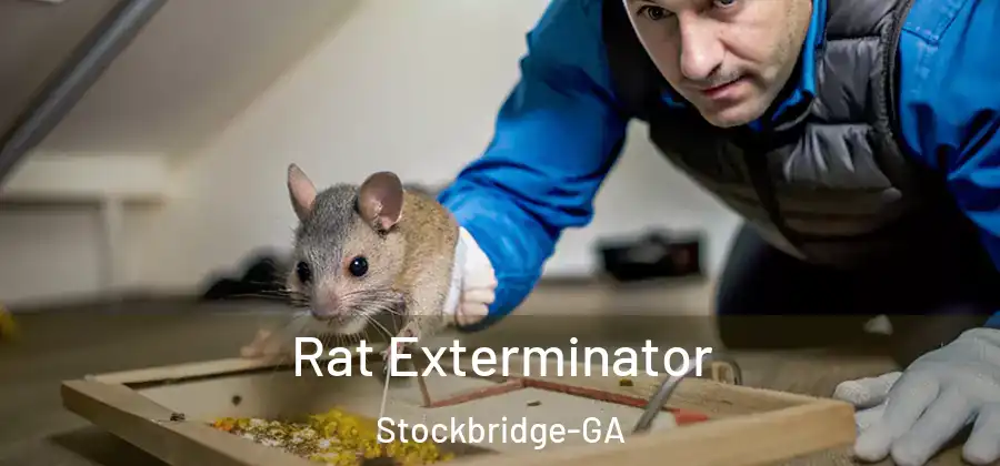  Rat Exterminator Stockbridge-GA