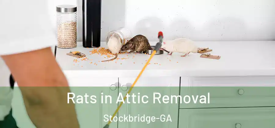 Rats in Attic Removal Stockbridge-GA