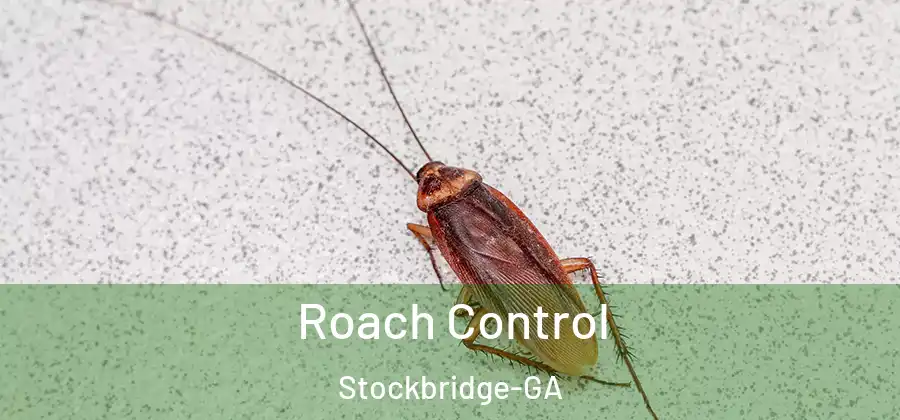 Roach Control Stockbridge-GA