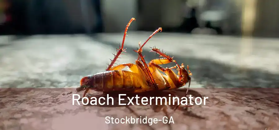 Roach Exterminator Stockbridge-GA