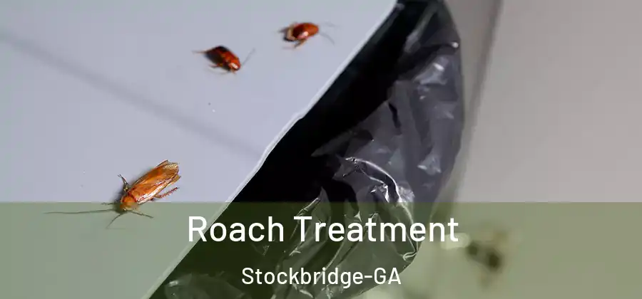  Roach Treatment Stockbridge-GA