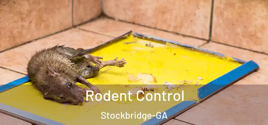  Rodent Control Stockbridge-GA