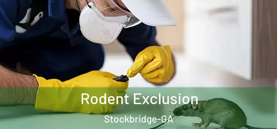 Rodent Exclusion Stockbridge-GA