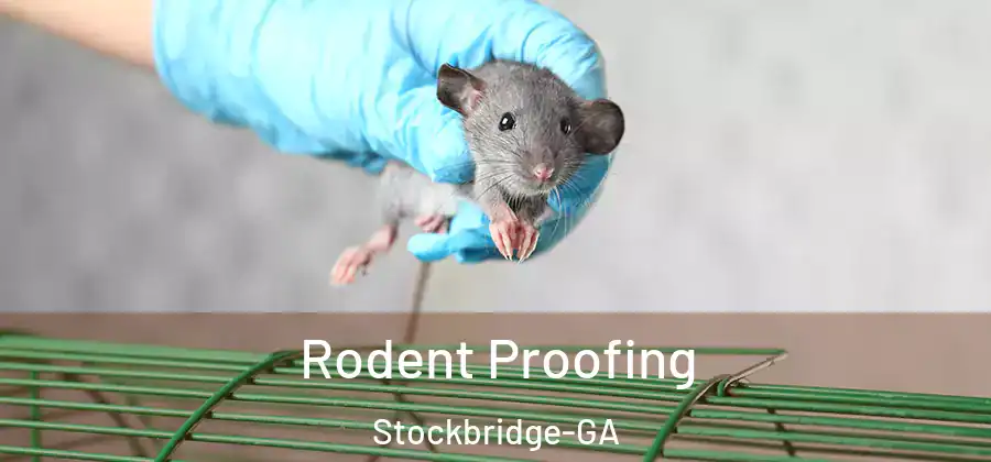  Rodent Proofing Stockbridge-GA