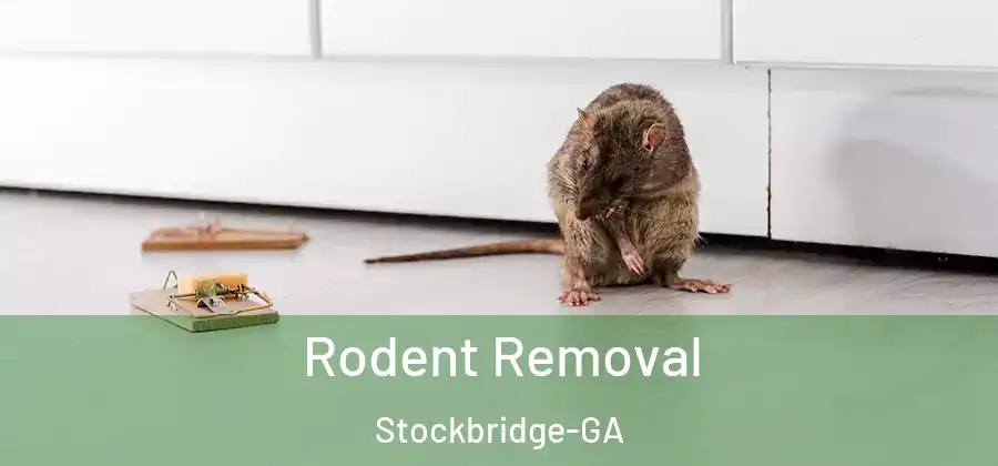  Rodent Removal Stockbridge-GA