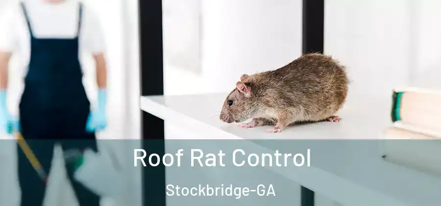 Roof Rat Control Stockbridge-GA