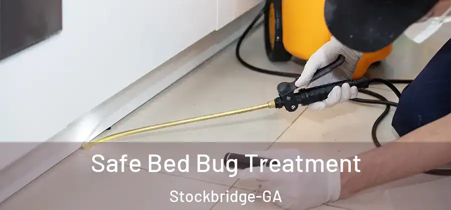  Safe Bed Bug Treatment Stockbridge-GA