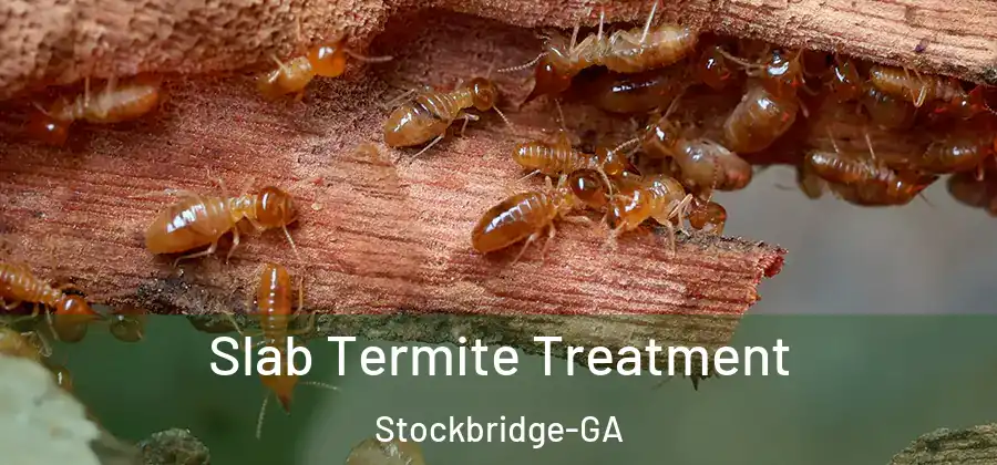  Slab Termite Treatment Stockbridge-GA
