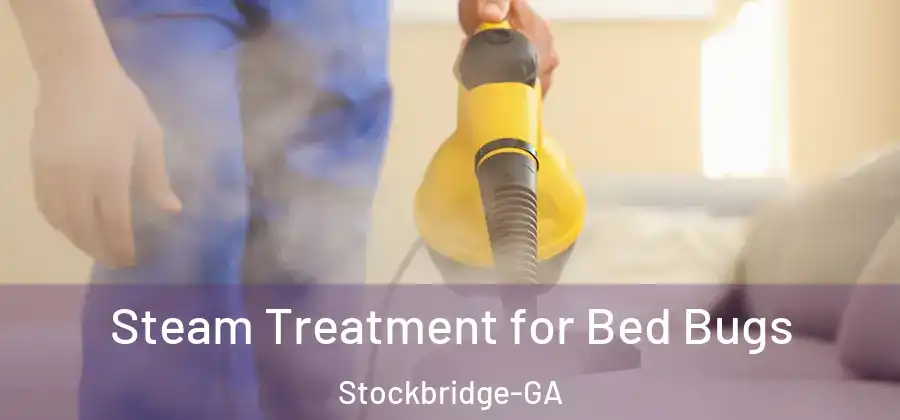 Steam Treatment for Bed Bugs Stockbridge-GA