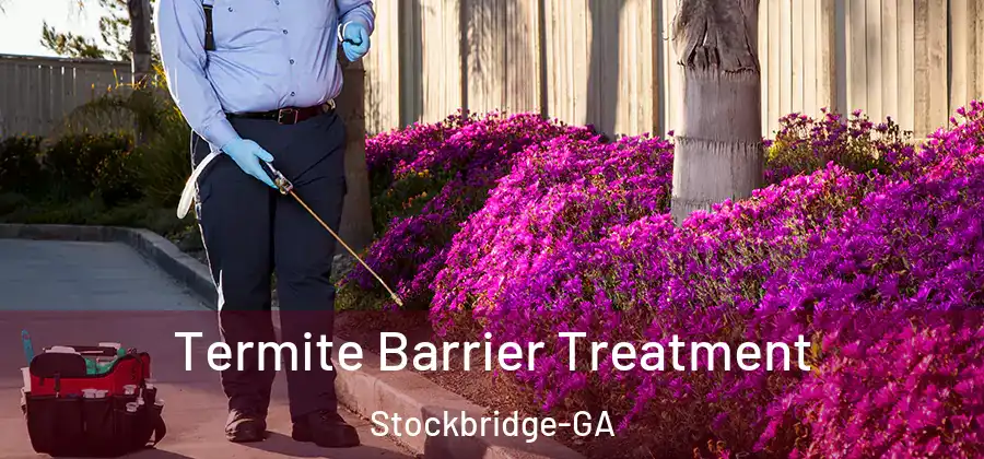 Termite Barrier Treatment Stockbridge-GA