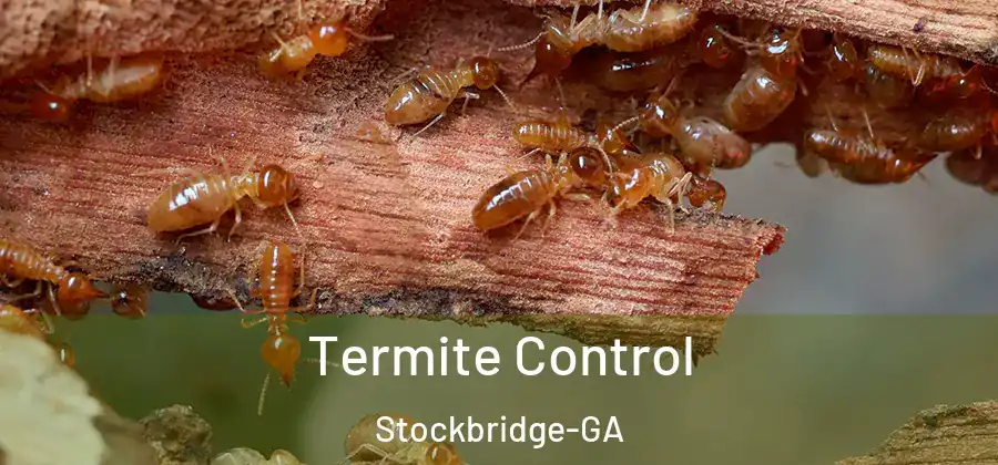 Termite Control Stockbridge-GA
