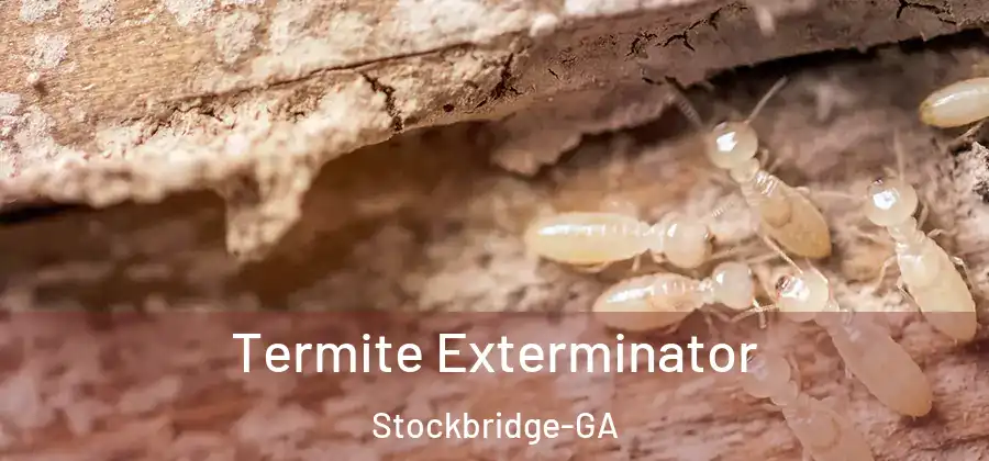 Termite Exterminator Stockbridge-GA