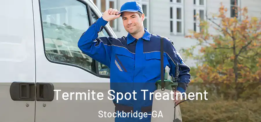 Termite Spot Treatment Stockbridge-GA