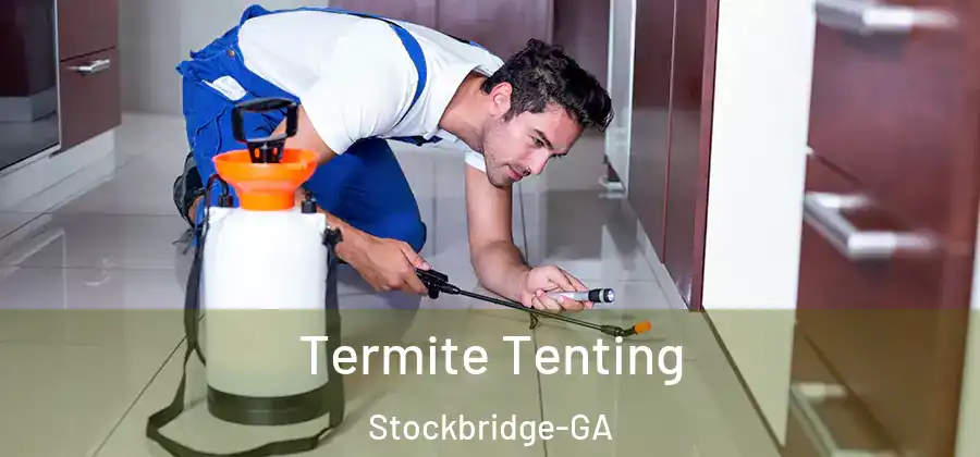  Termite Tenting Stockbridge-GA