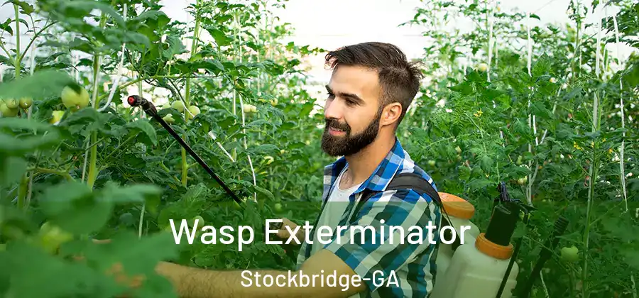 Wasp Exterminator Stockbridge-GA