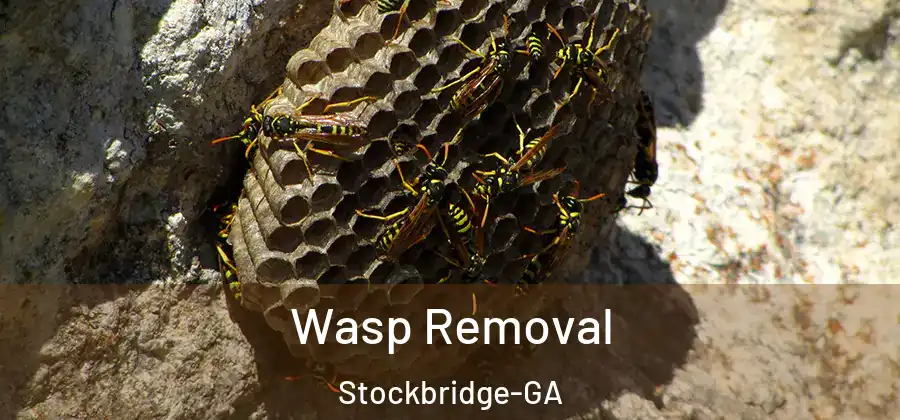  Wasp Removal Stockbridge-GA
