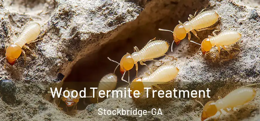  Wood Termite Treatment Stockbridge-GA