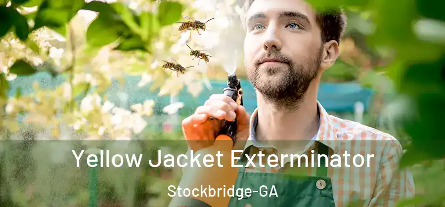  Yellow Jacket Exterminator Stockbridge-GA