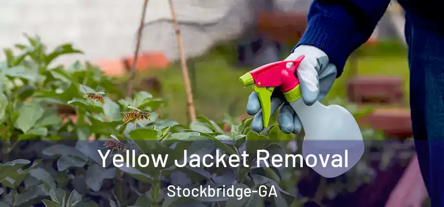 Yellow Jacket Removal Stockbridge-GA
